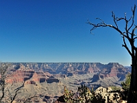 Grand Canyon  View of the Grand Canyon